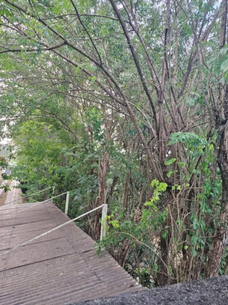 Casa de Condomínio, 5 quartos - Foto 3