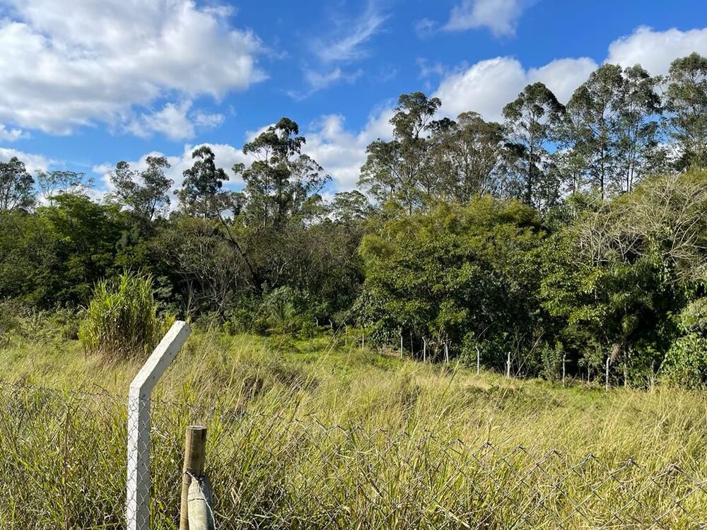 Terreno, 3200 m² - Foto 3