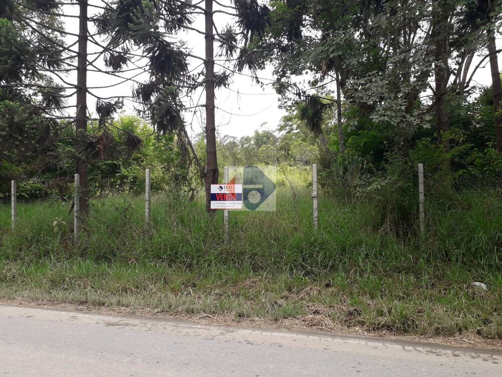 Terreno, 5 hectares - Foto 1