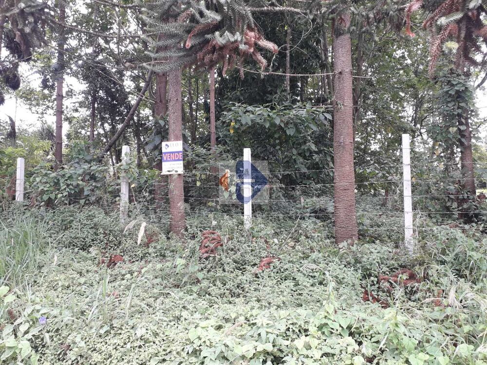 Terreno, 5 hectares - Foto 2