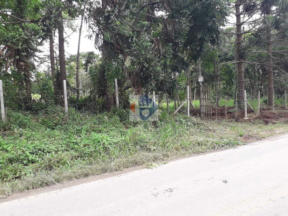 Terreno, 5 hectares - Foto 4