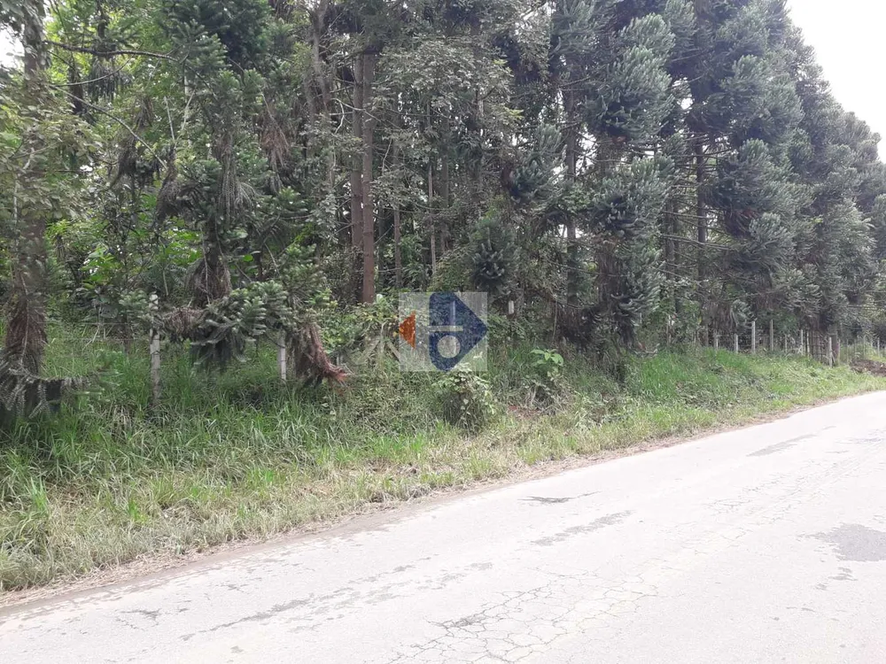 Terreno, 5 hectares - Foto 4