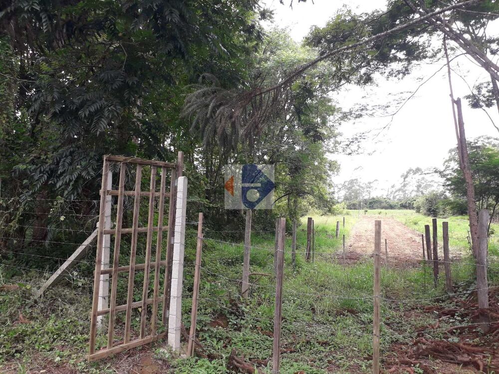 Terreno, 5 hectares - Foto 3