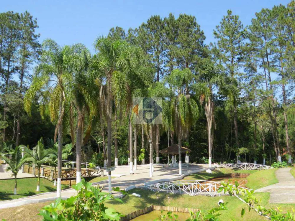 Sítio, 6 quartos, 10 hectares - Foto 1