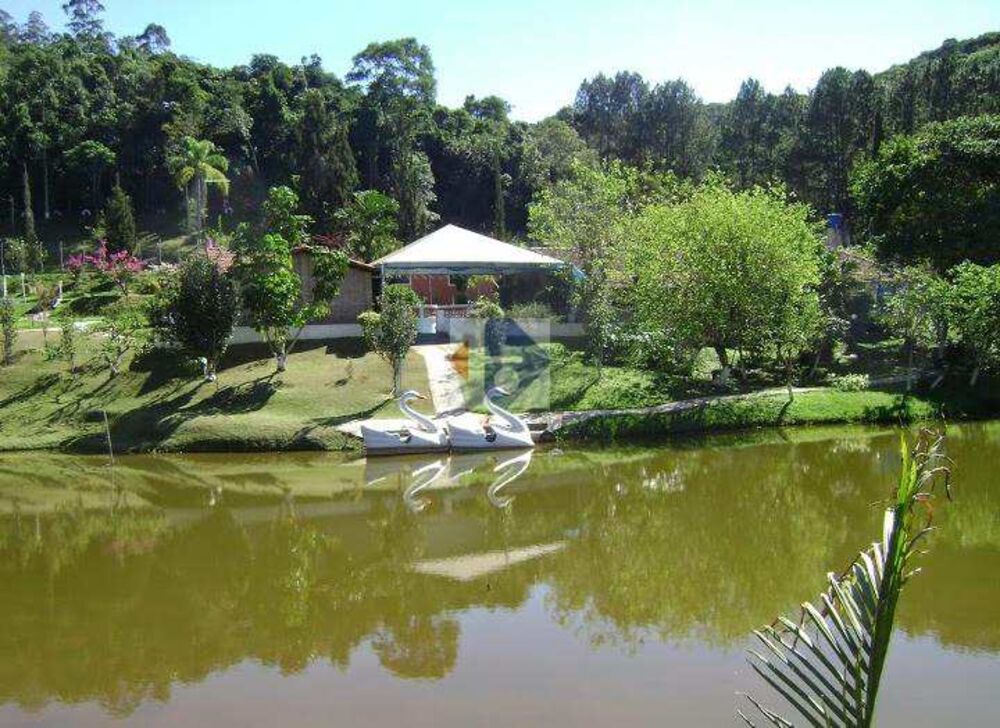 Sítio, 6 quartos, 10 hectares - Foto 3