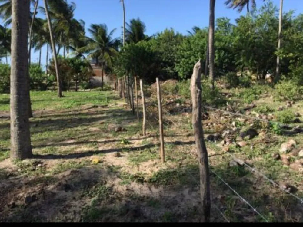 Terreno, 2400 m² - Foto 6