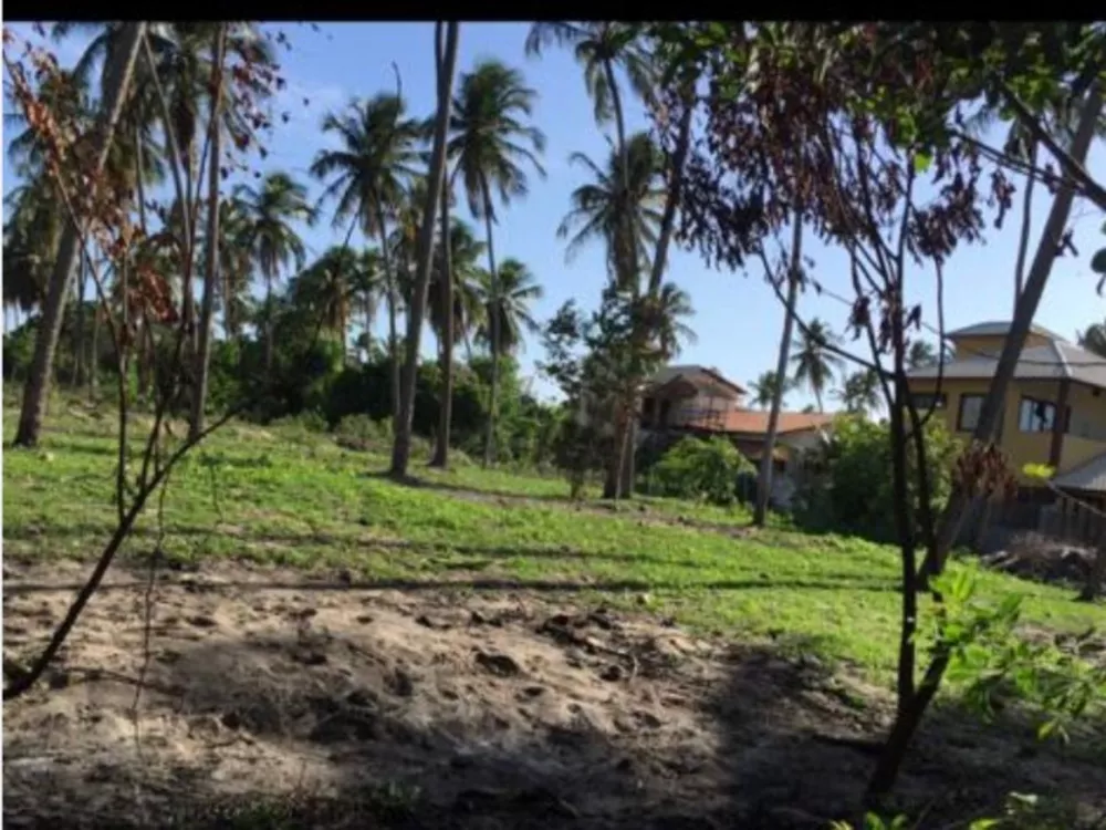 Terreno, 2400 m² - Foto 4