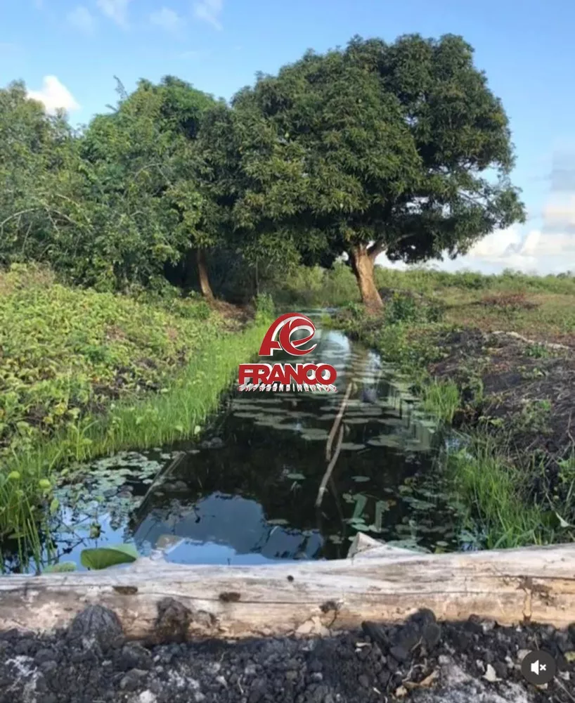 Fazenda à venda com 4 quartos, 125m² - Foto 2