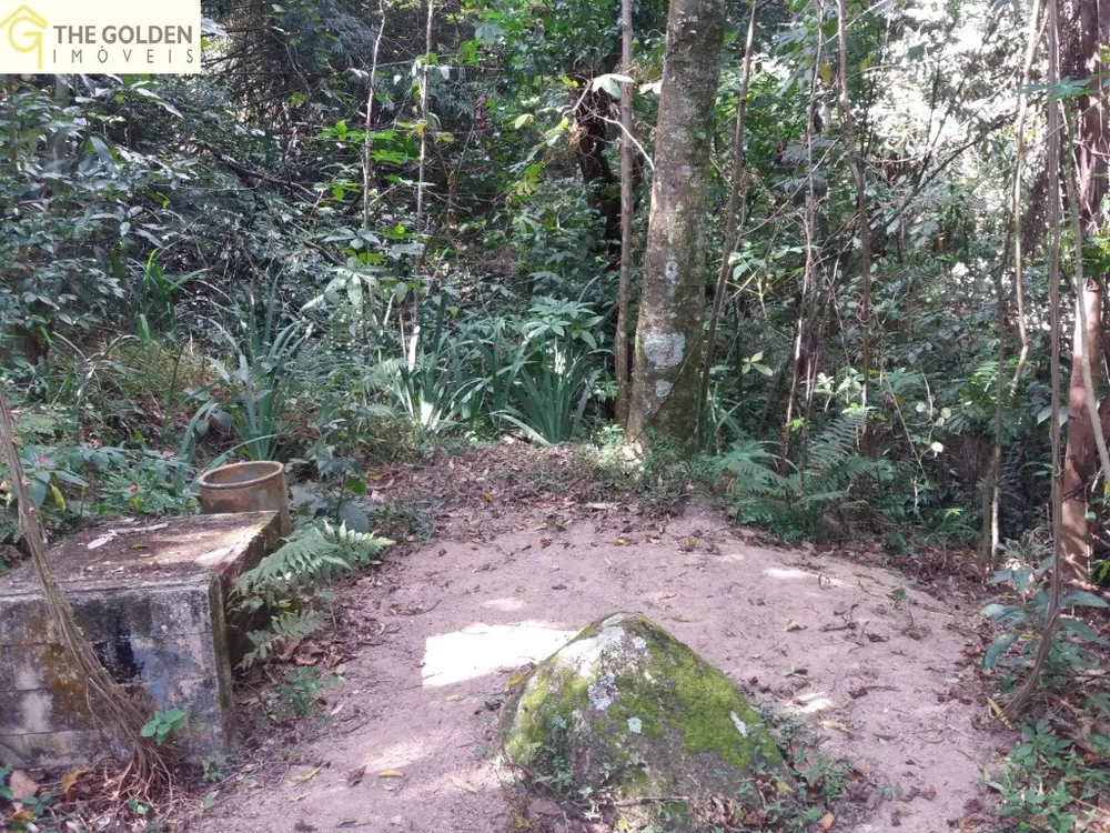 Chácara, 4 quartos, 1 hectares - Foto 23