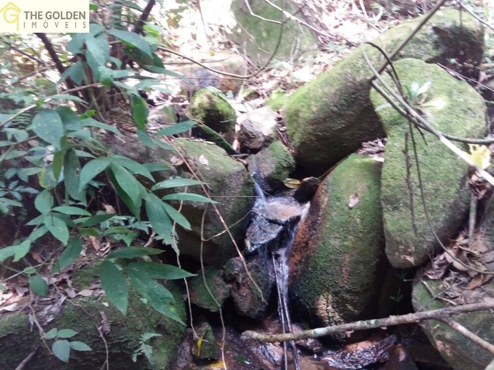 Chácara, 4 quartos, 1 hectares - Foto 2