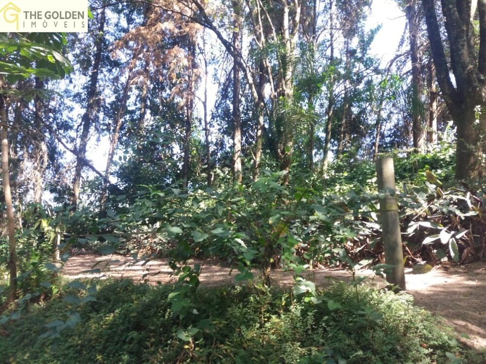 Chácara, 4 quartos, 1 hectares - Foto 20