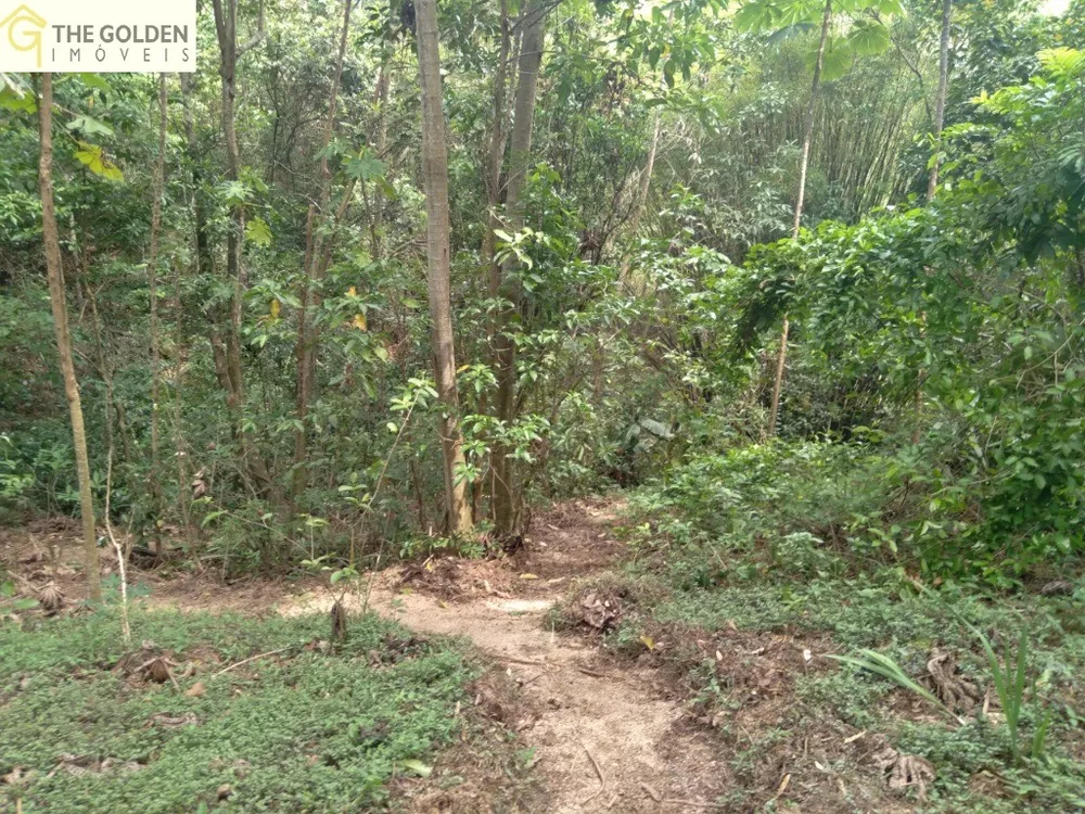 Chácara, 4 quartos, 1 hectares - Foto 24