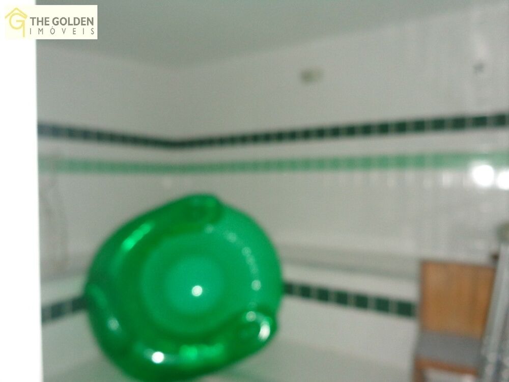 Chácara à venda com 3 quartos, 350m² - Foto 6