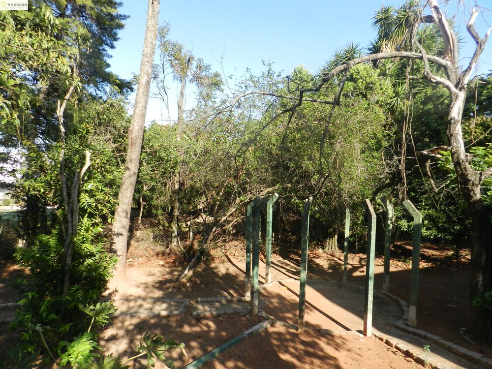 Chácara, 3 quartos, 7560 m² - Foto 11