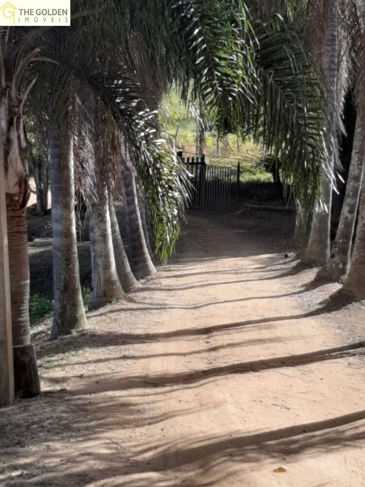 Sítio, 6 quartos, 2 hectares - Foto 12