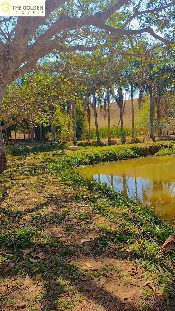 Sítio, 6 quartos, 2 hectares - Foto 6