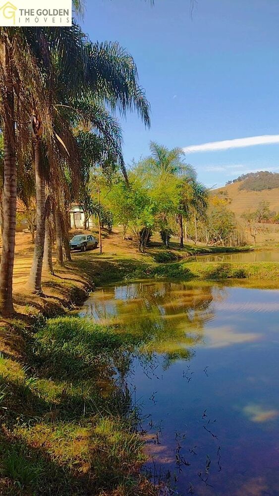 Sítio, 6 quartos, 2 hectares - Foto 5