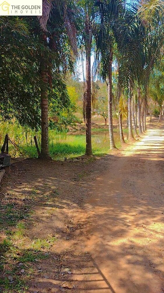 Sítio, 6 quartos, 2 hectares - Foto 8