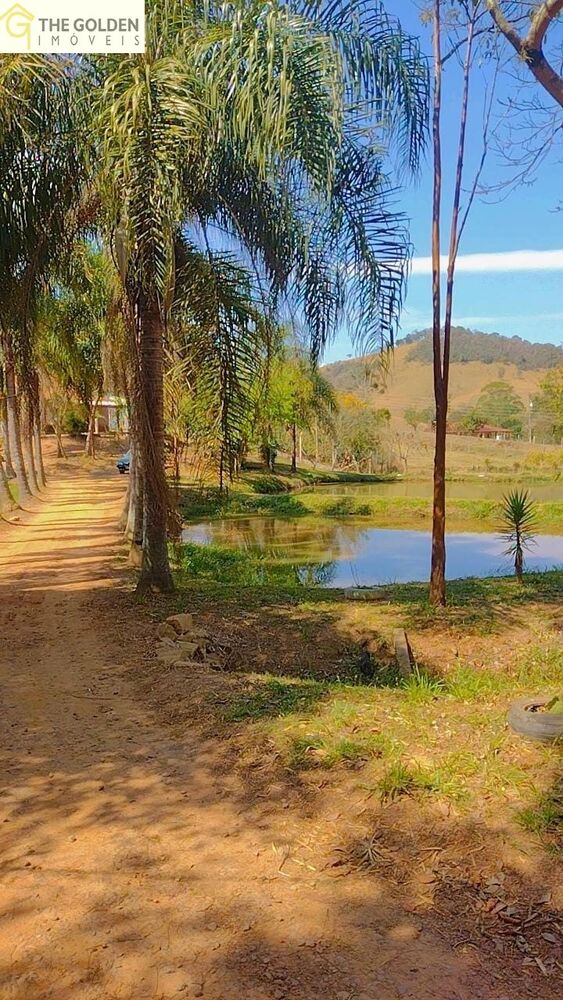 Sítio, 6 quartos, 2 hectares - Foto 9