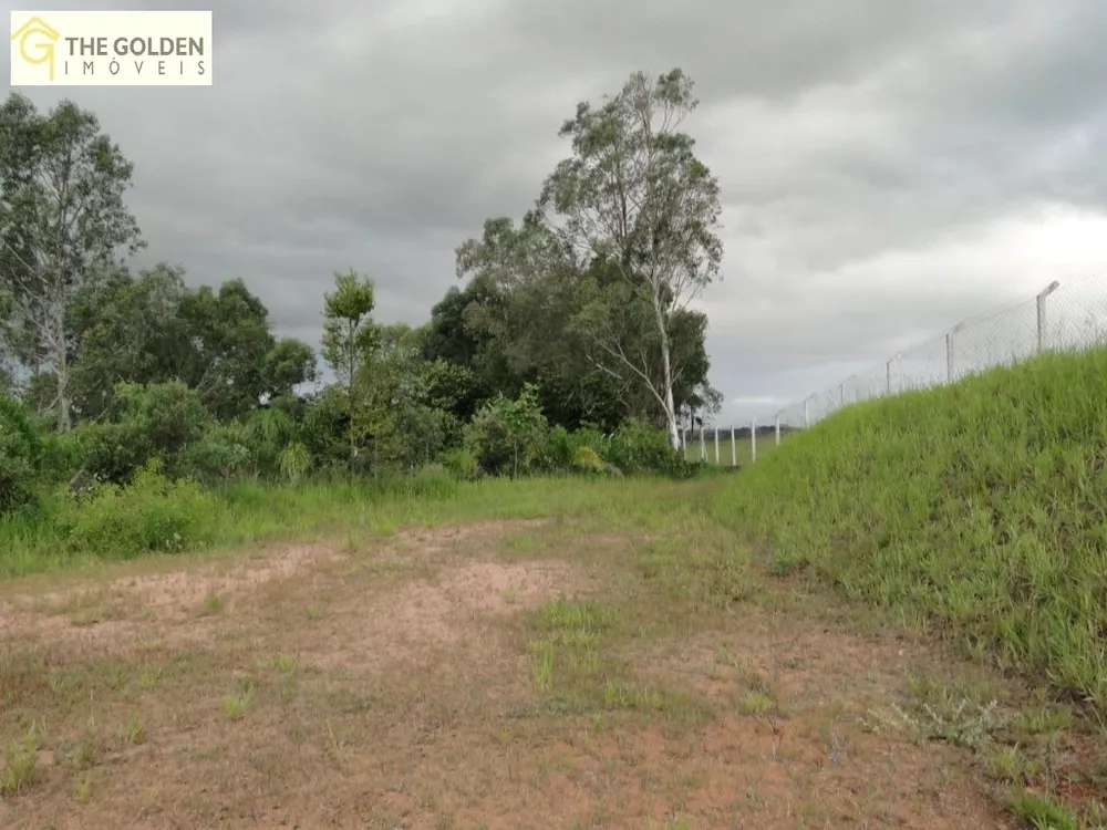 Chácara, 12 quartos, 2 hectares - Foto 6
