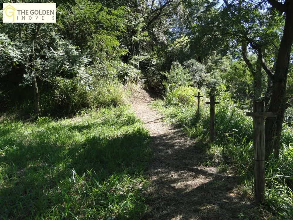 Chácara, 12 quartos, 2 hectares - Foto 26