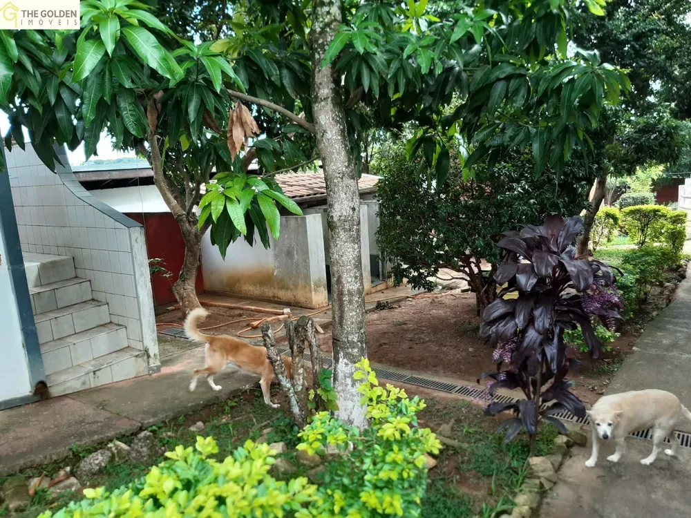 Fazenda à venda com 2 quartos, 1000m² - Foto 16