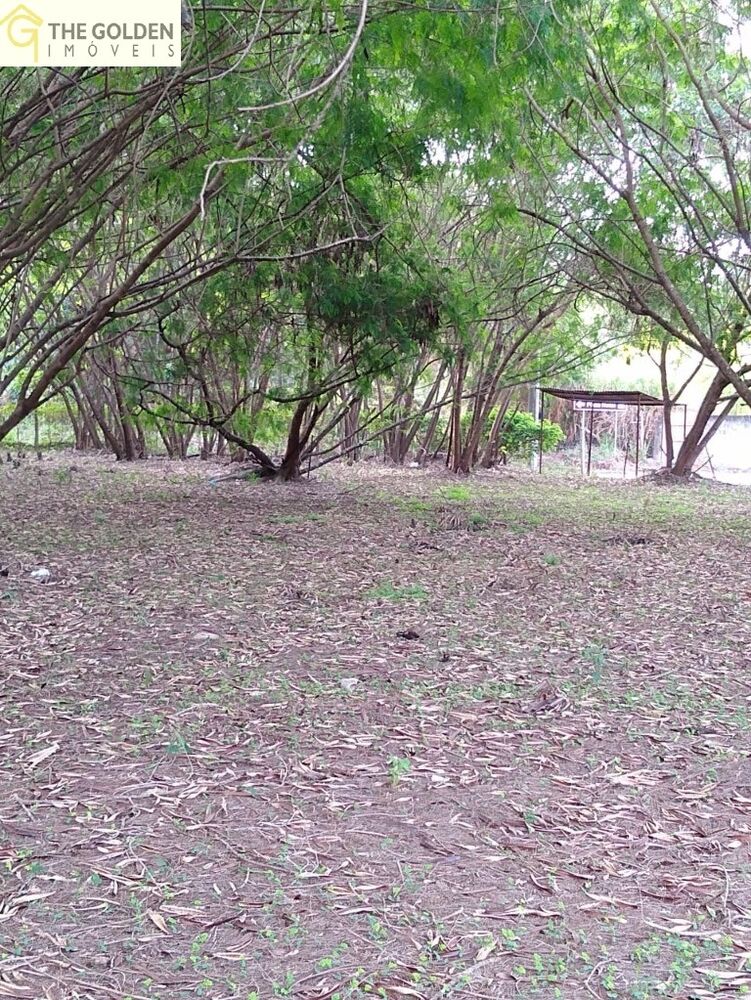 Terreno, 26400 m² - Foto 6