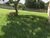 Terreno, 760 m² - Foto 3