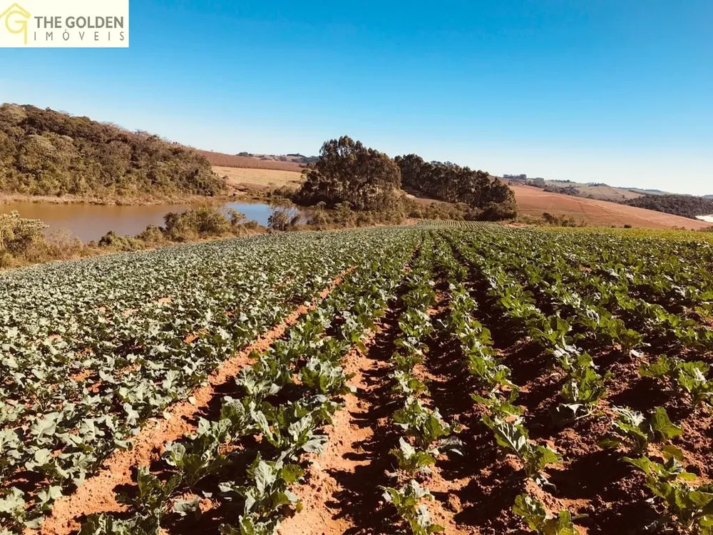 Fazenda, 7 hectares - Foto 13