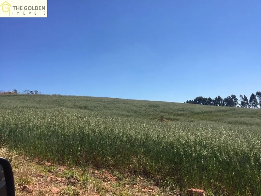 Fazenda, 7 hectares - Foto 16