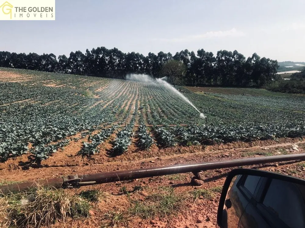 Fazenda, 7 hectares - Foto 15