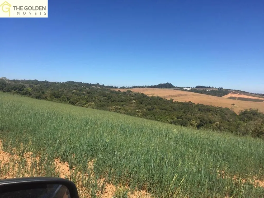 Fazenda, 7 hectares - Foto 21