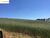 Fazenda-Sítio-Chácara, 7 hectares - Foto 4