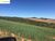 Fazenda-Sítio-Chácara, 7 hectares - Foto 9