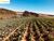Fazenda-Sítio-Chácara, 7 hectares - Foto 1
