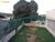 Chácara, 1 quarto, 500 m² - Foto 3