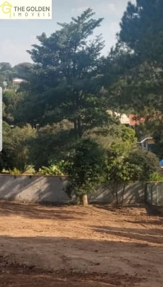 Terreno, 2010 m² - Foto 4