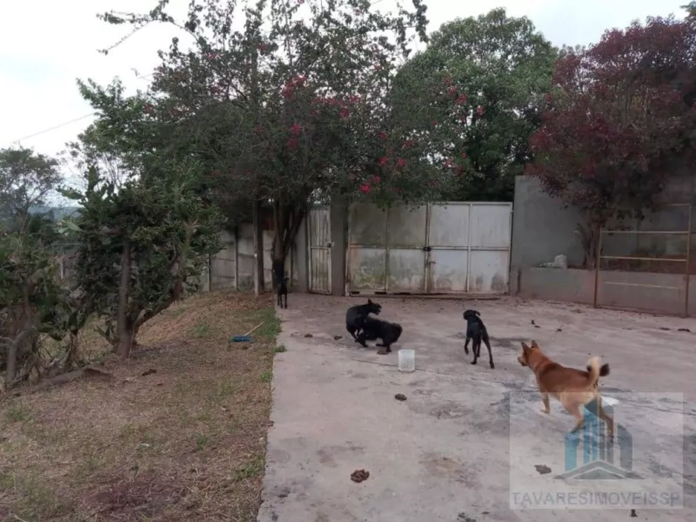 Chácara, 2 quartos - Foto 14