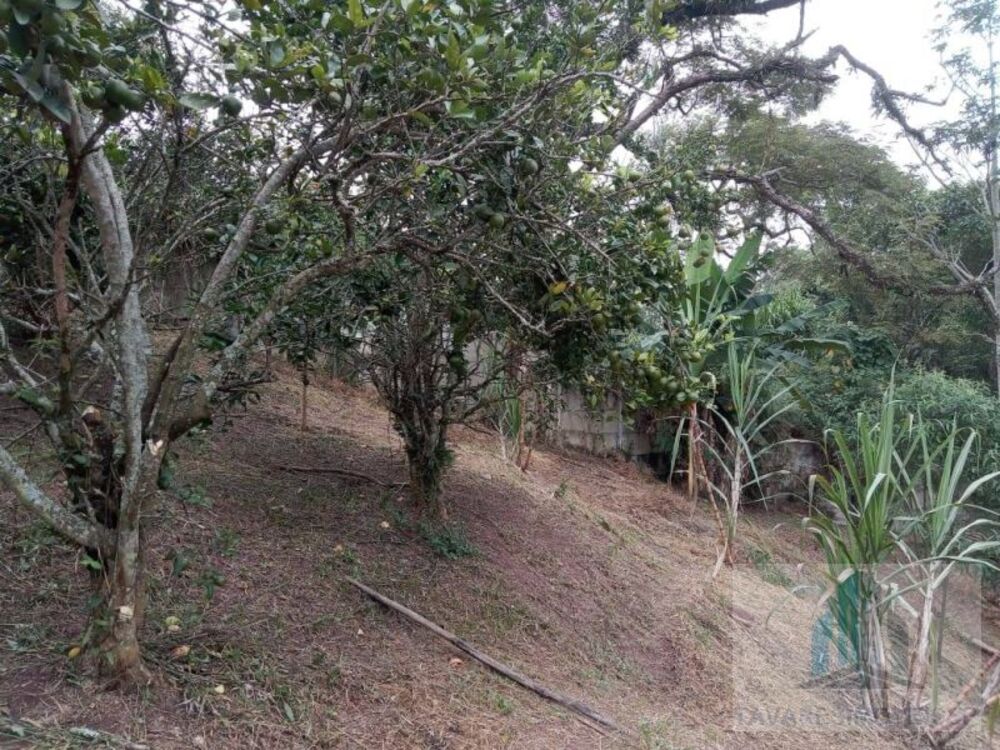 Chácara, 2 quartos - Foto 8