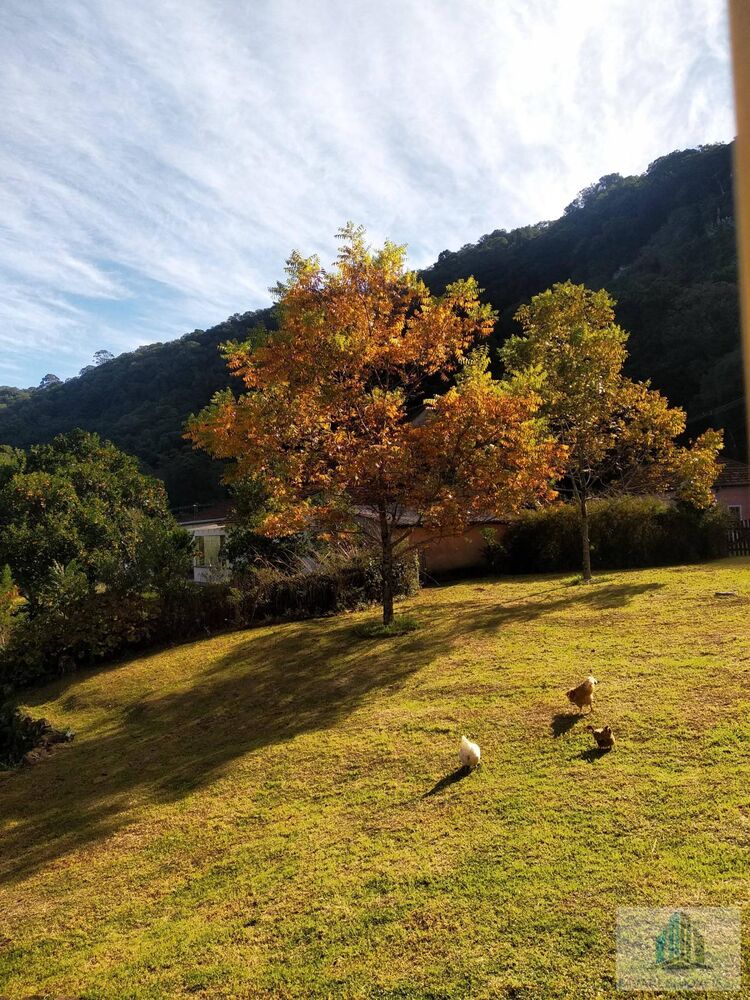 Sítio, 4 quartos - Foto 4