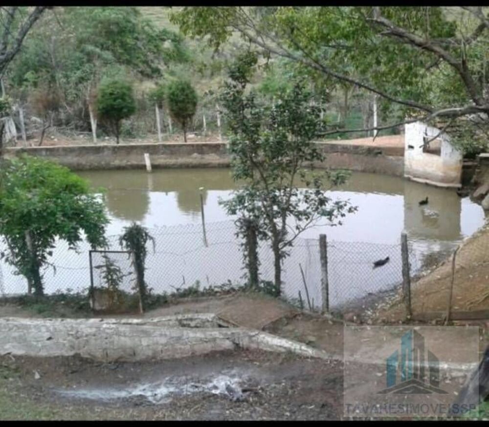 Chácara à venda com 2 quartos, 10000m² - Foto 2