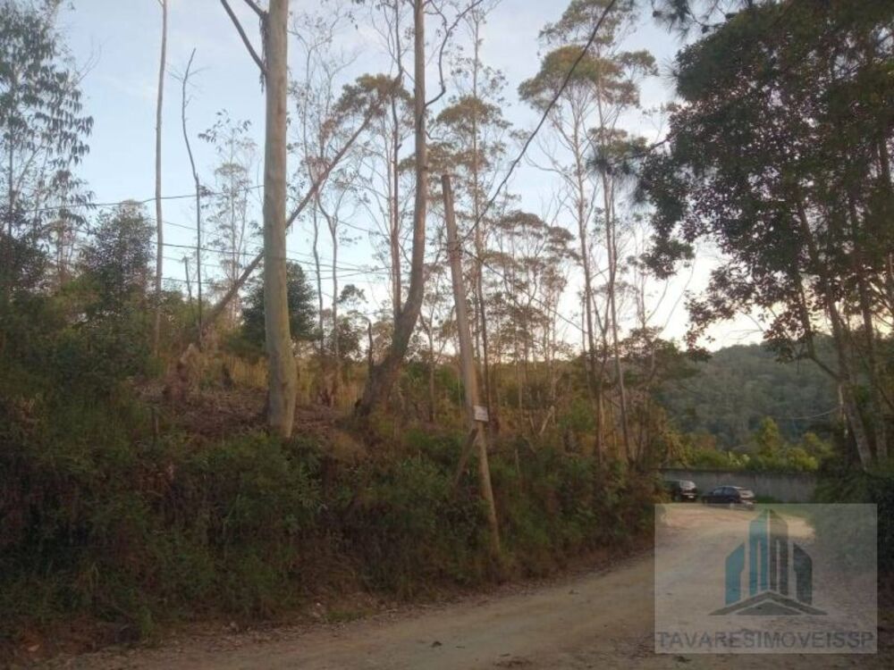 Terreno à venda, 1300m² - Foto 5