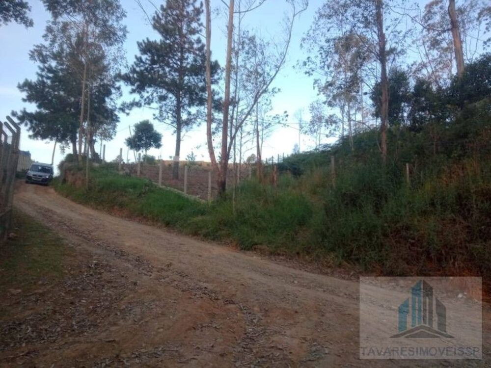 Terreno à venda, 1300m² - Foto 4