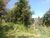 Terreno, 1300 m² - Foto 8