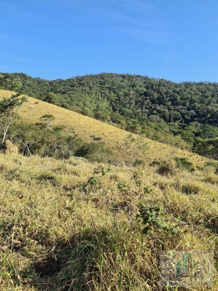 Sítio, 2 quartos, 14000 m² - Foto 4