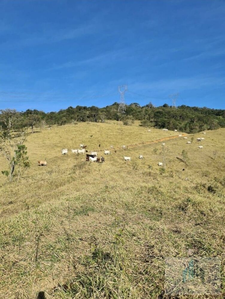 Sítio, 2 quartos, 14000 m² - Foto 1