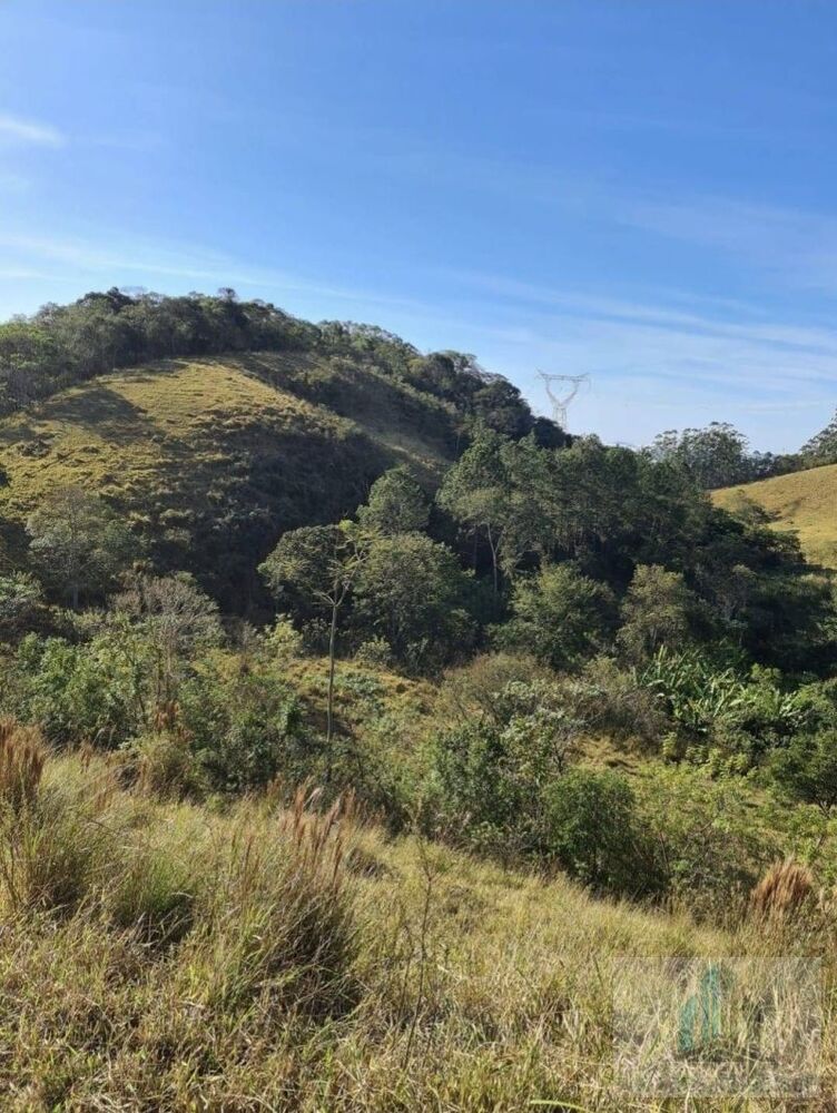 Sítio, 2 quartos, 14000 m² - Foto 3