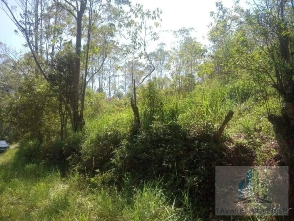 Terreno, 1300 m² - Foto 7