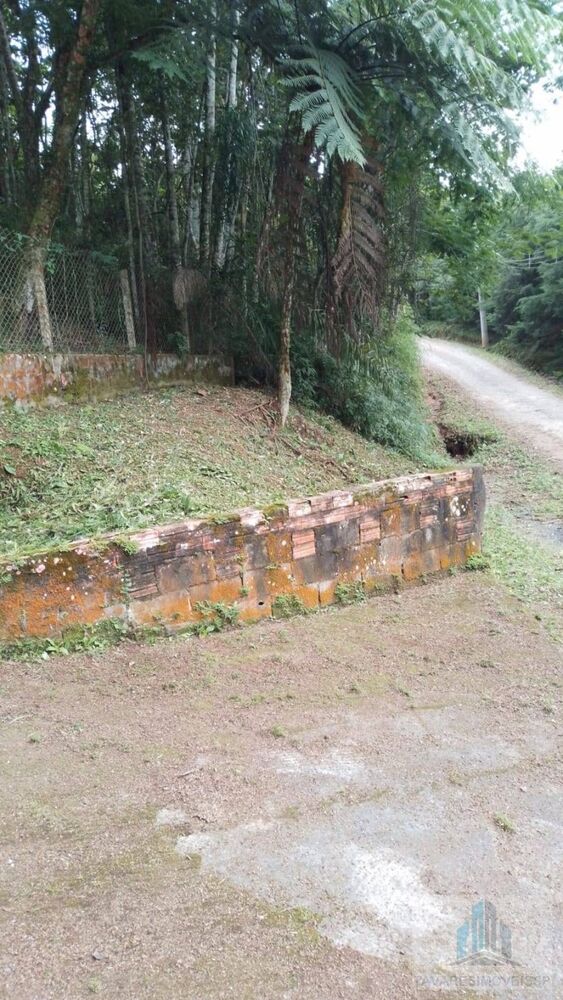 Chácara à venda com 2 quartos, 1700m² - Foto 31