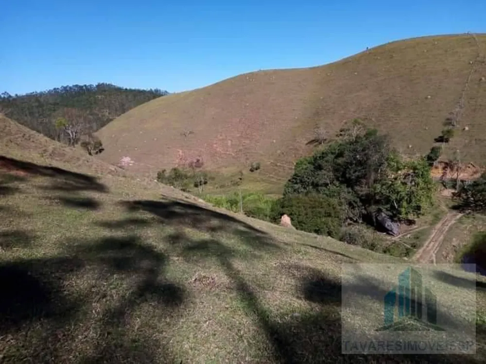 Sítio, 2 quartos, 14000 m² - Foto 1